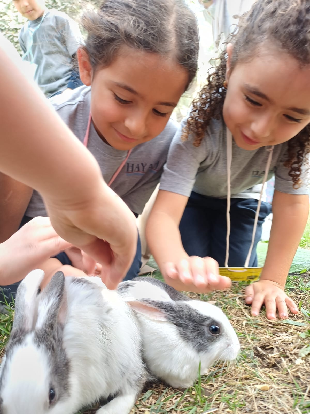 Students encountering wildlife on a Learn x Science trip